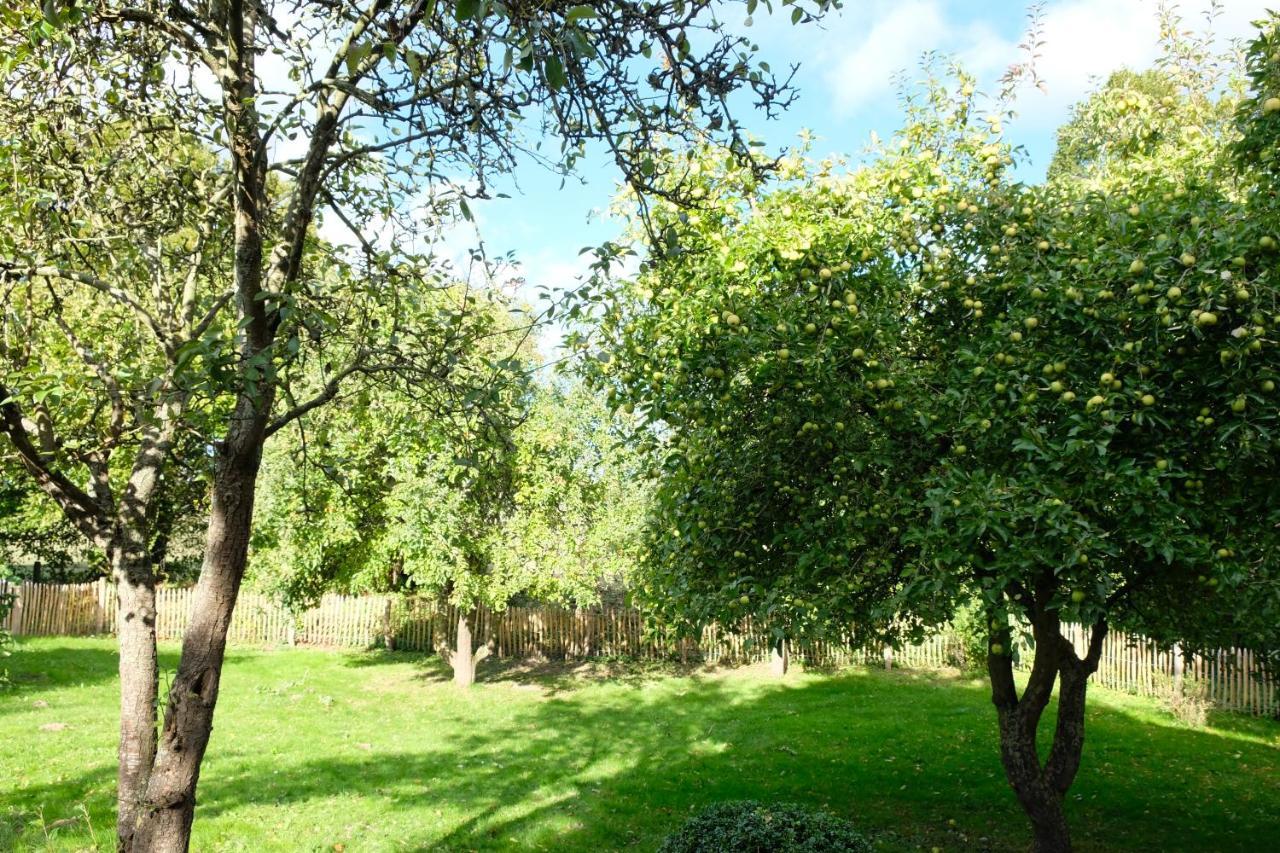 Urlaubsoase Ostsee Hohen Schoenberg المظهر الخارجي الصورة