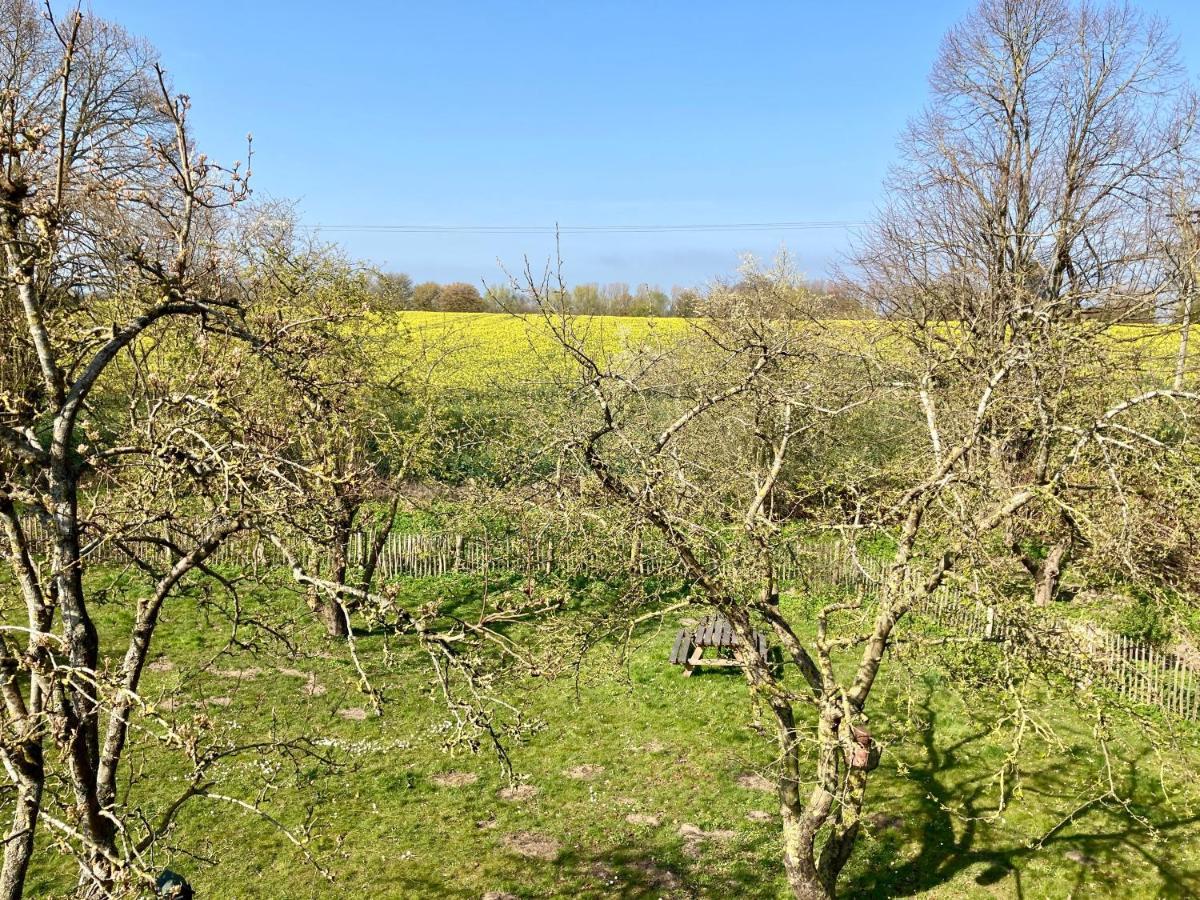 Urlaubsoase Ostsee Hohen Schoenberg المظهر الخارجي الصورة